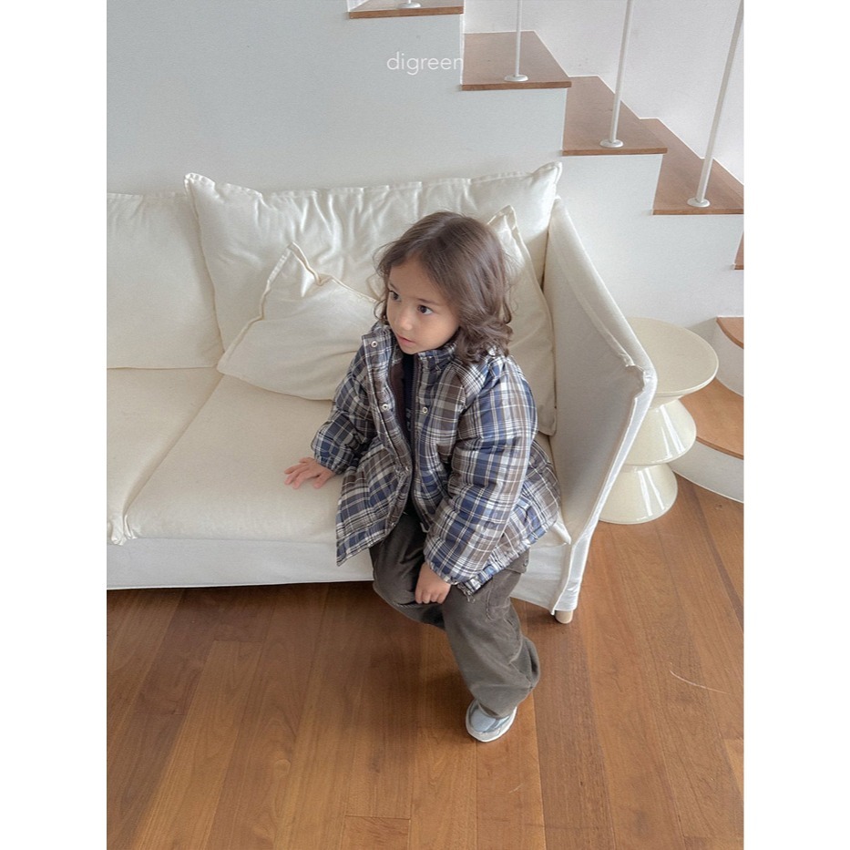 25冬 正韓 digreen olivo經典羽絨外套 三色-細節圖2