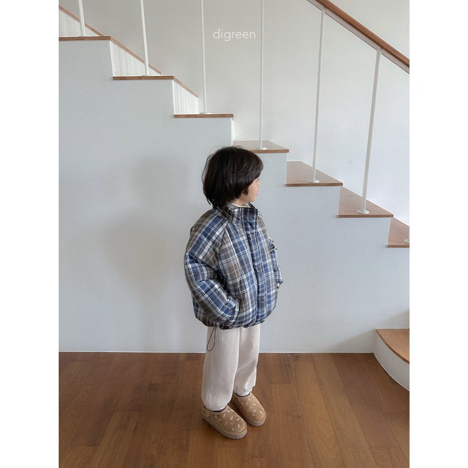 25冬 正韓 digreen olivo經典羽絨外套 三色-細節圖3