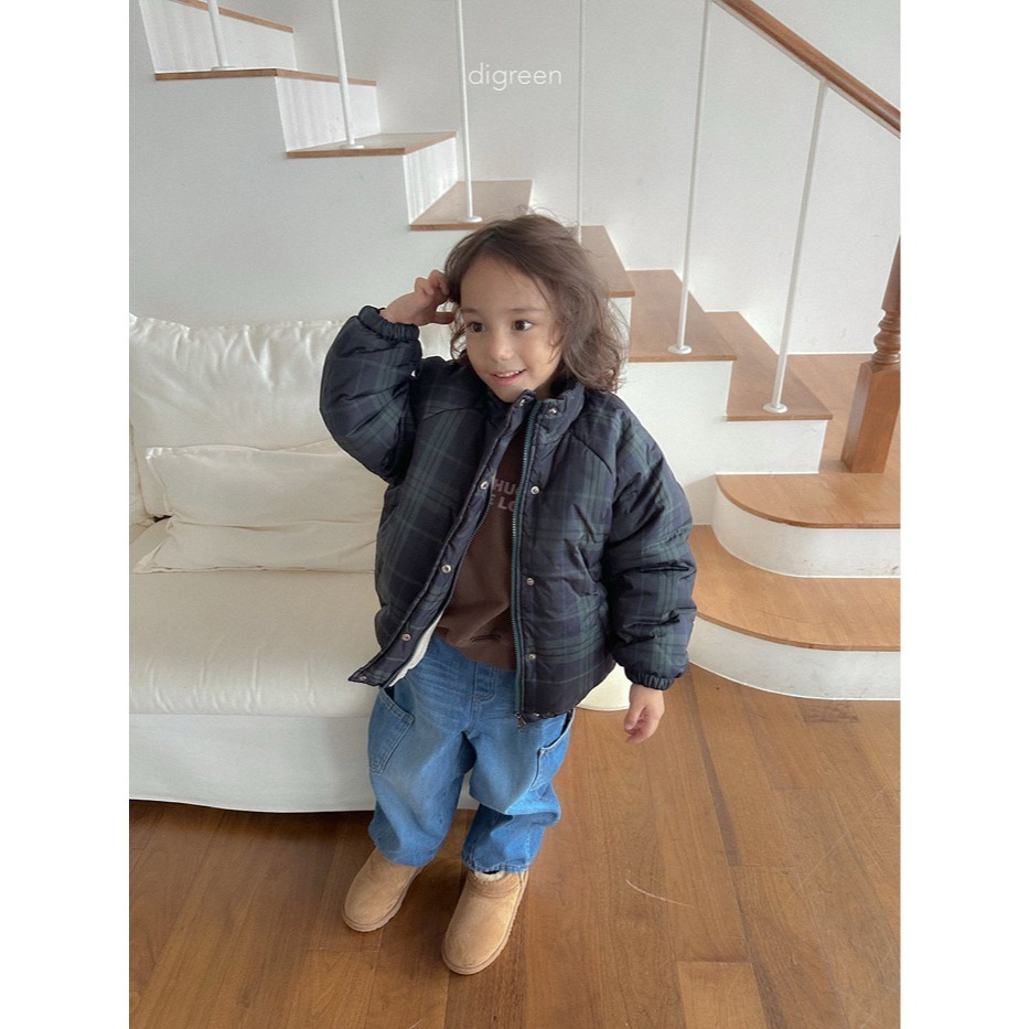 25冬 正韓 digreen olivo經典羽絨外套 三色-細節圖4