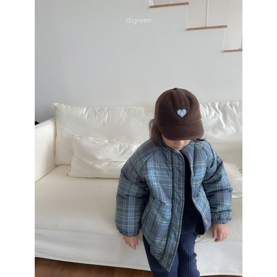 25冬 正韓 digreen olivo經典羽絨外套 三色-細節圖6