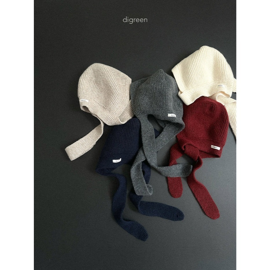 25冬 正韓 digreen 造型領巾 針織帽 五色-細節圖10