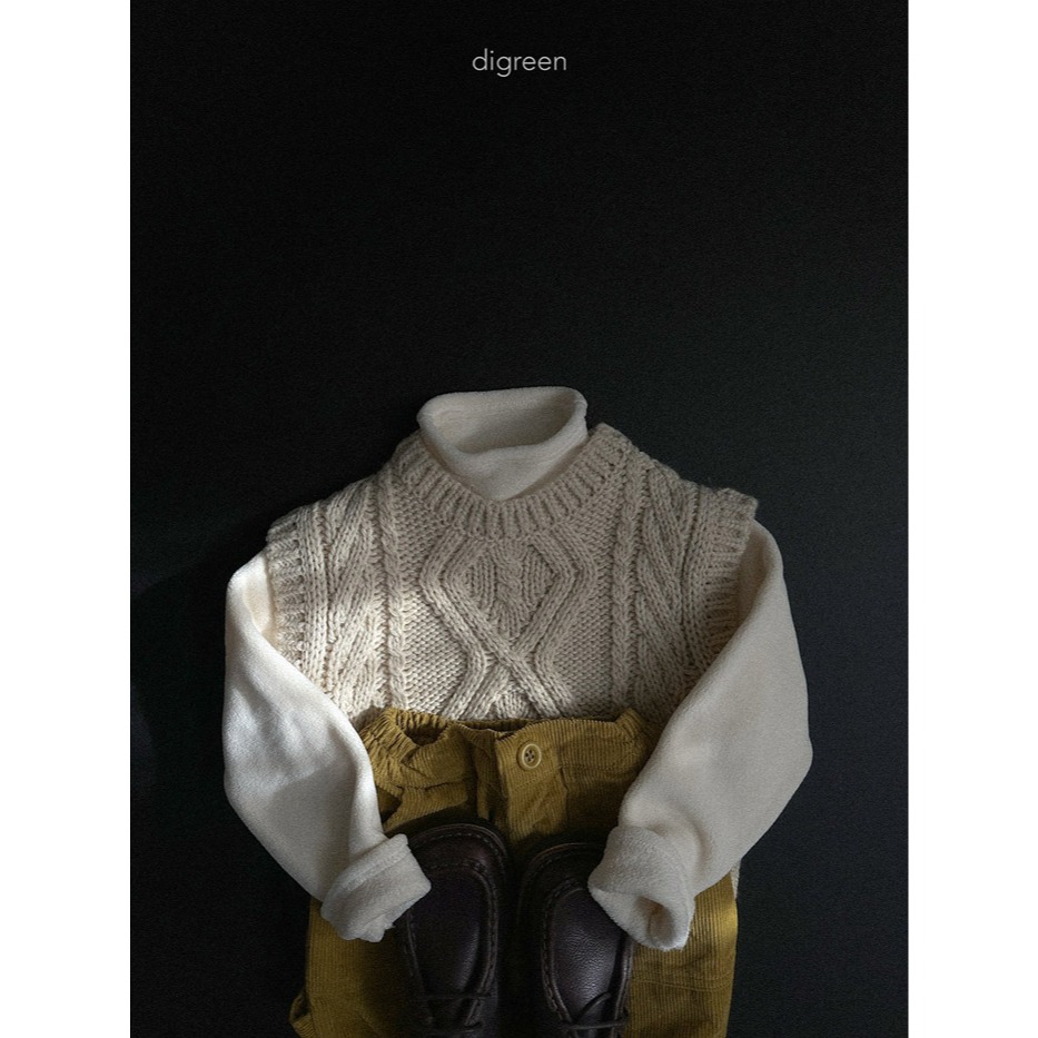 25冬 正韓 digreen 百搭款 麻花背心（兩色）-細節圖4