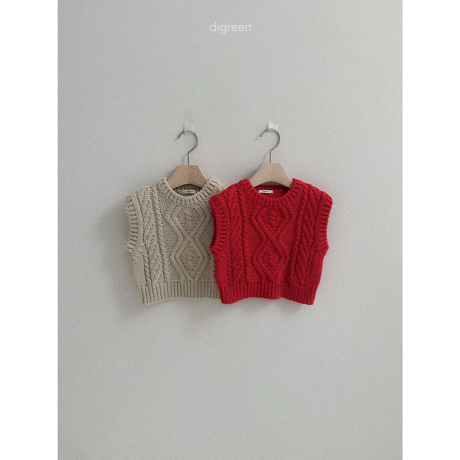 25冬 正韓 digreen 百搭款 麻花背心（兩色）-細節圖9