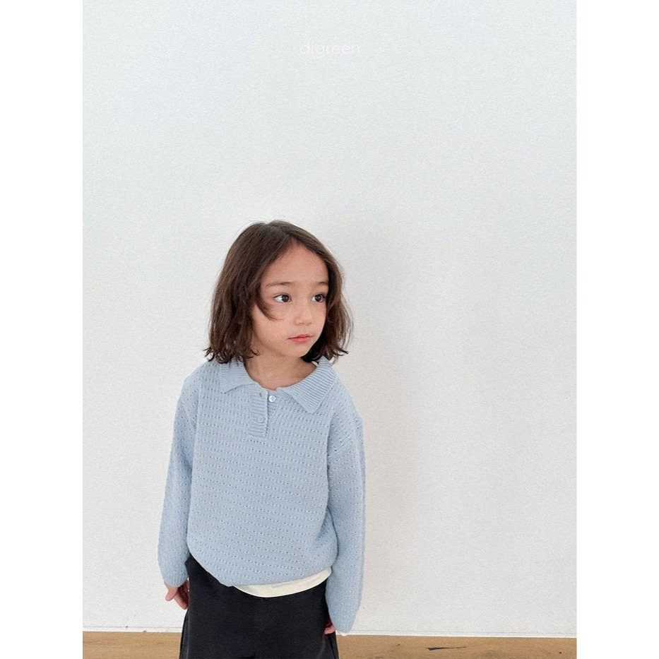 26春 正韓 DIGREEN｜Everyday Playground｜質感滿分 針織Polo衫 自留款-細節圖2