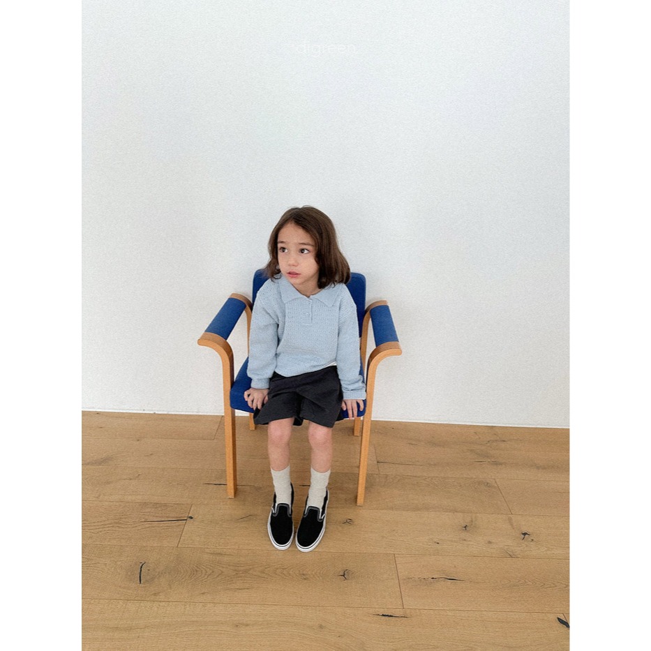 26春 正韓 DIGREEN｜Everyday Playground｜質感滿分 針織Polo衫 自留款-細節圖3