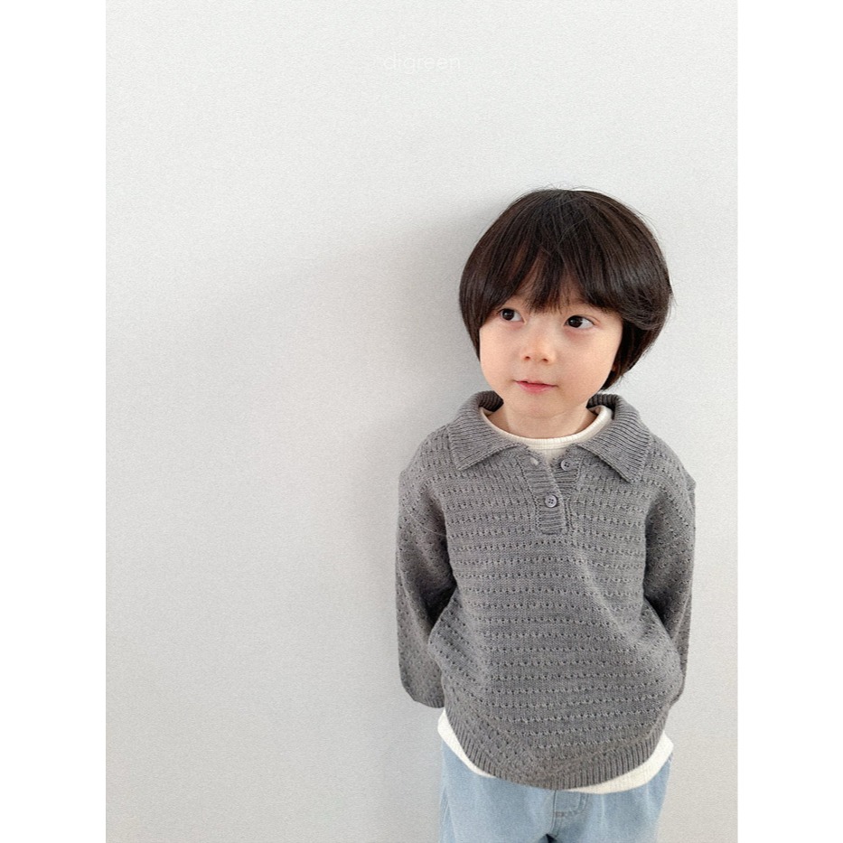 26春 正韓 DIGREEN｜Everyday Playground｜質感滿分 針織Polo衫 自留款-細節圖4