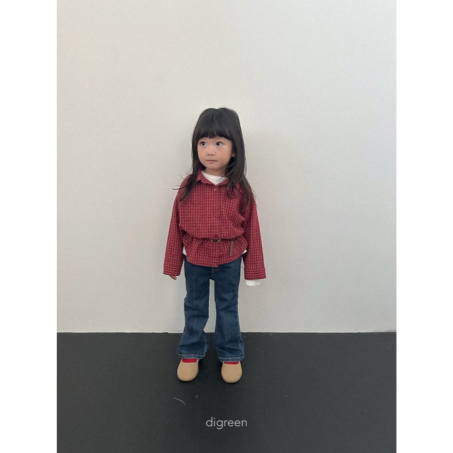 【26秋 】正韓 DIGREEN | 秋日微光 靴型 牛仔長褲-細節圖4