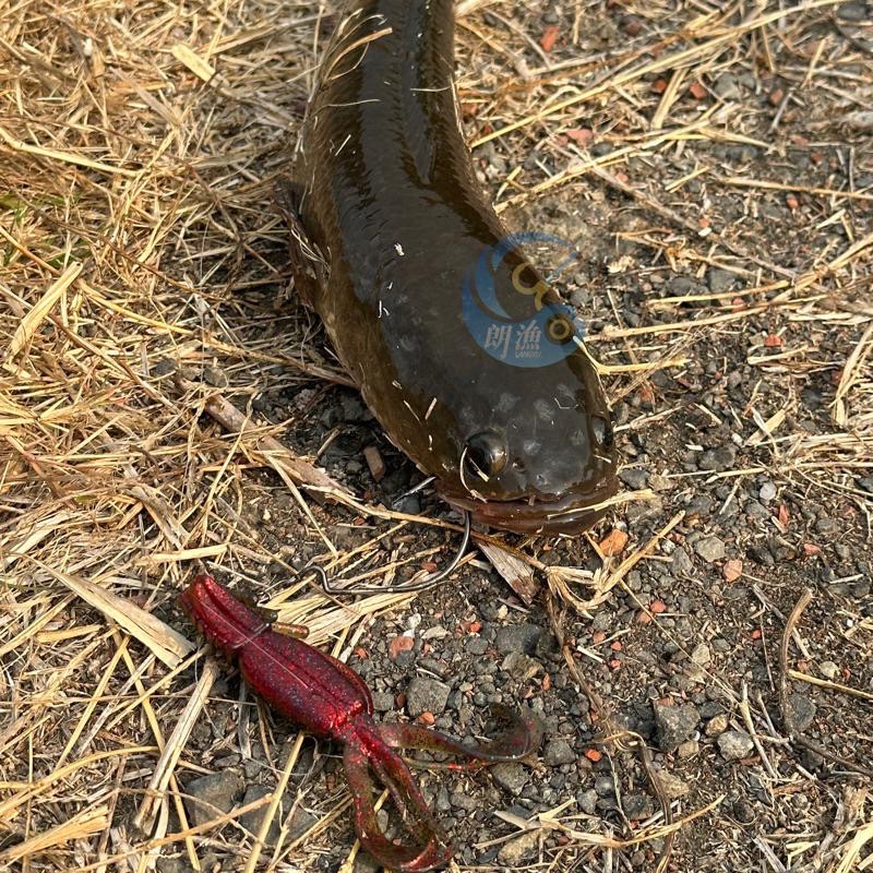 朗漁 路亞 米諾 波趴 沉水米諾 浮水米諾 魚鉤 三本鉤 亮片 spoon 假餌 魔獸 軟餌 雷蛙 鐵板 拖拉機 4-細節圖5