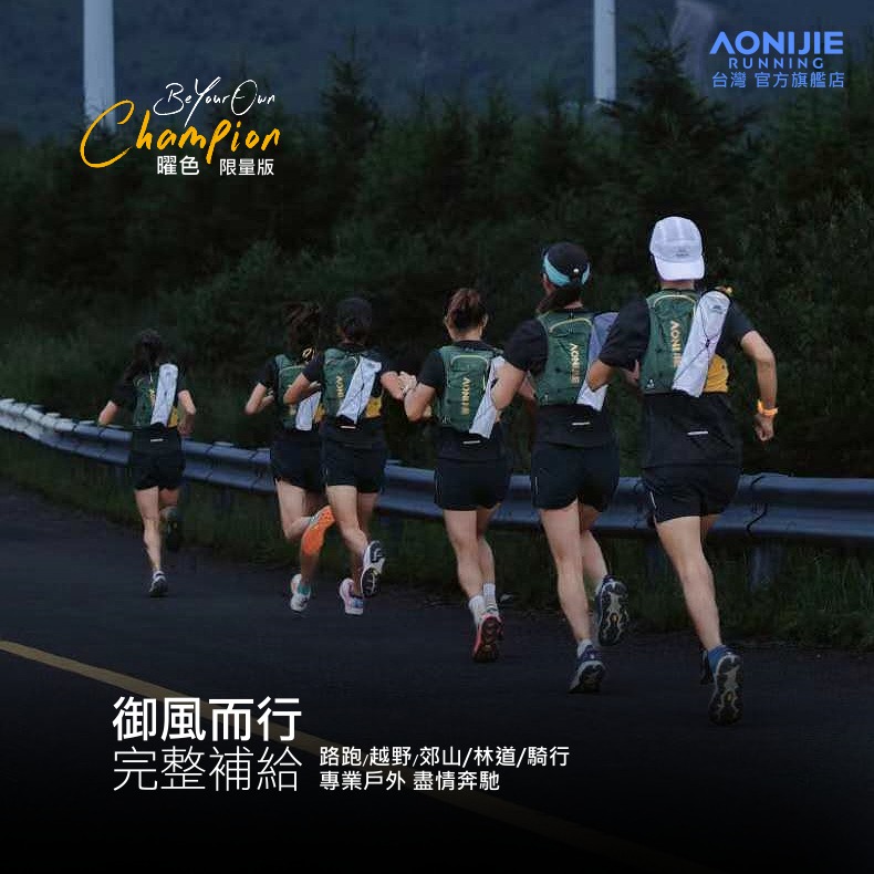 AONIJIE奧尼捷 躍捷S運動背包 【台灣官方旗艦店】10L 跑步背包 越野背包 水袋背包 水袋背心 野跑包登山攻頂包-細節圖3