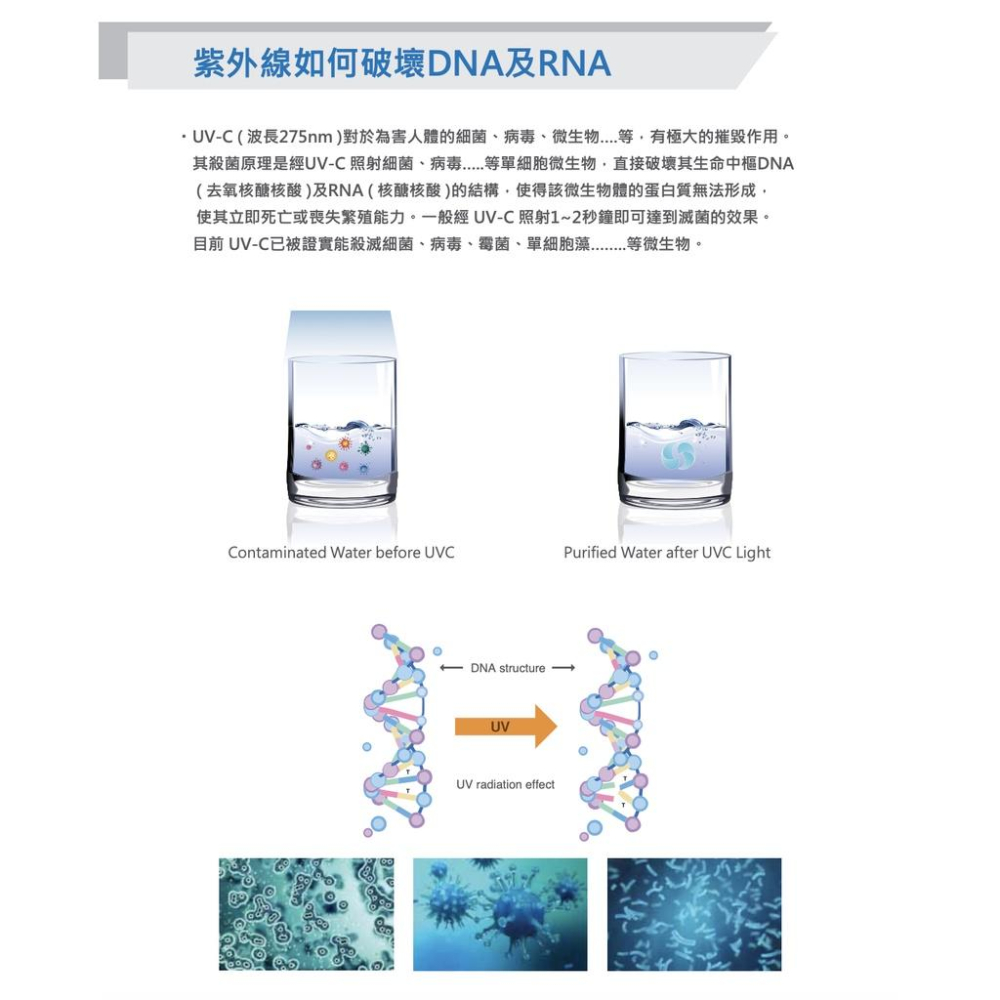 『燈后』億光 UVC LED殺菌抗敏 紫外線殺菌光抗敏空氣清淨機 9-16坪適用 EL400F-細節圖4