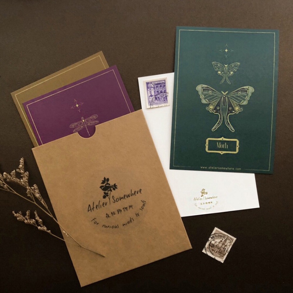 奇幻標本室系列 / 昆蟲明信片萬用卡(一套四張)-細節圖2