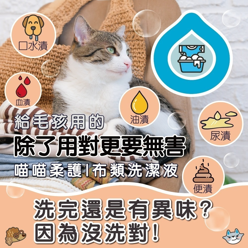 【臭味滾】洗衣精-貓家庭適用 1000ML/4000ML-細節圖3
