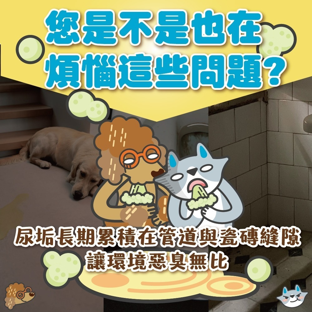 【臭味滾】全效尿漬清潔霸-大範圍地板去漬去垢500ml-細節圖2