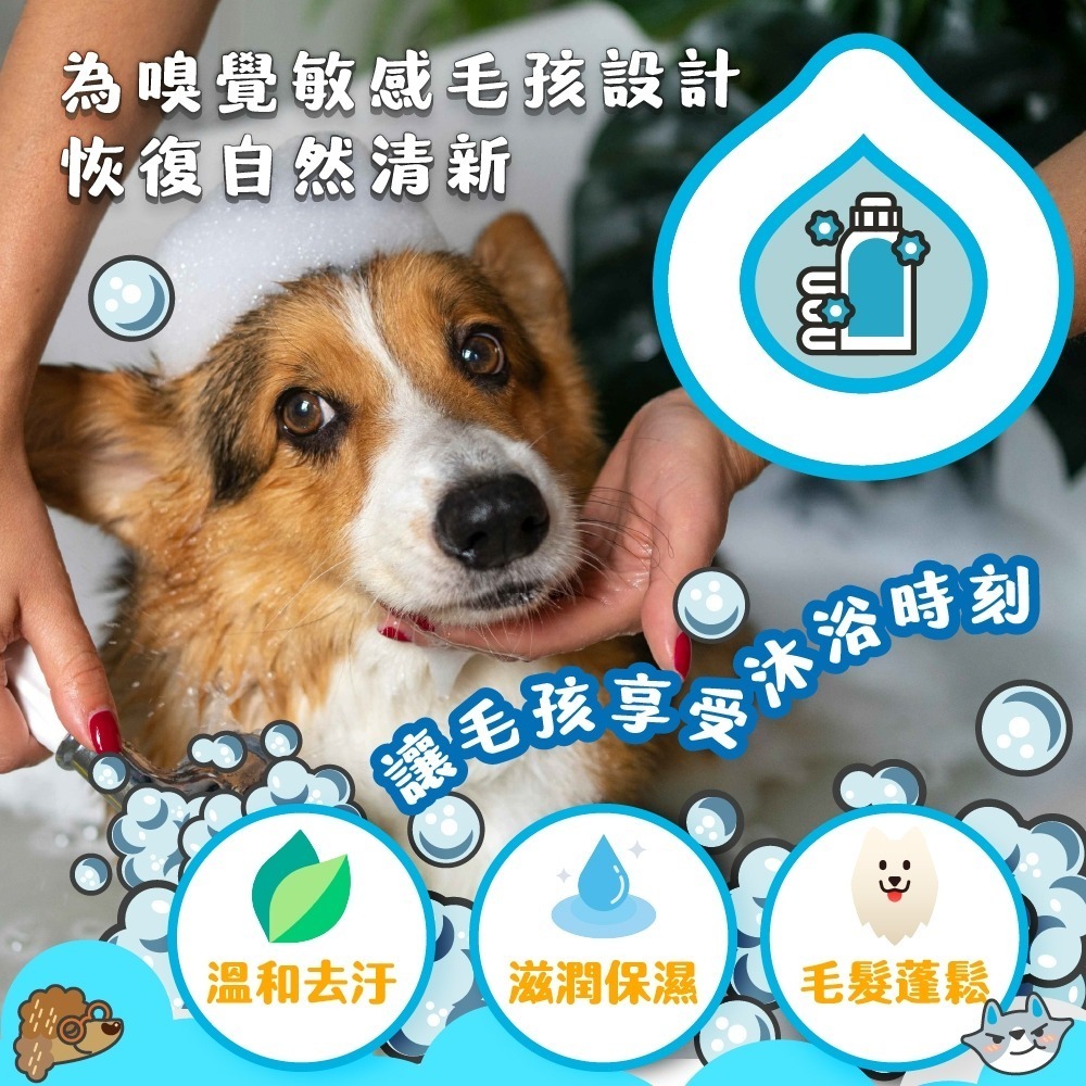 【臭味滾】植萃純淨沐浴露500ml-寵物適用(除臭/低敏/無香精/犬貓適用)-細節圖3