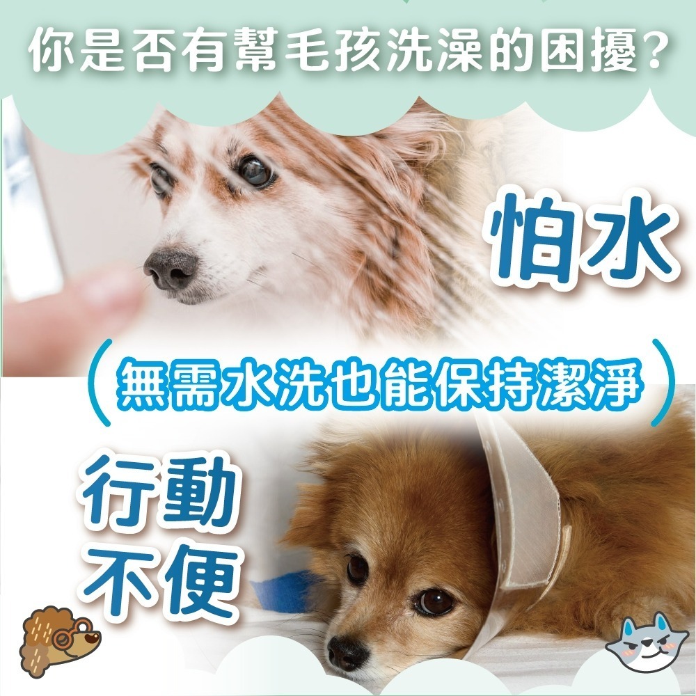 【臭味滾】寵物乾洗粉100g-寵物適用(除臭/去汙/無香精/犬貓適用)-細節圖2