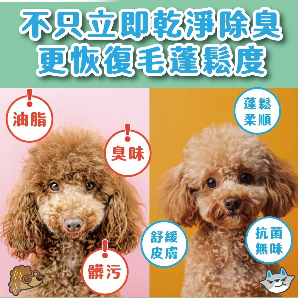 【臭味滾】寵物乾洗粉100g-寵物適用(除臭/去汙/無香精/犬貓適用)-細節圖4