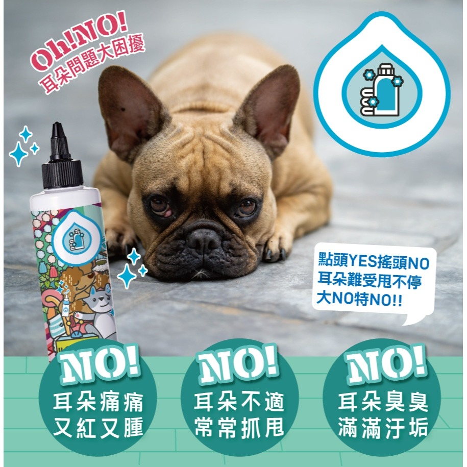 臭味滾 ODOUT 低敏植萃耳清淨 200ml ECOCERT認證 長效除臭 低敏 無香精 犬貓適用-細節圖2