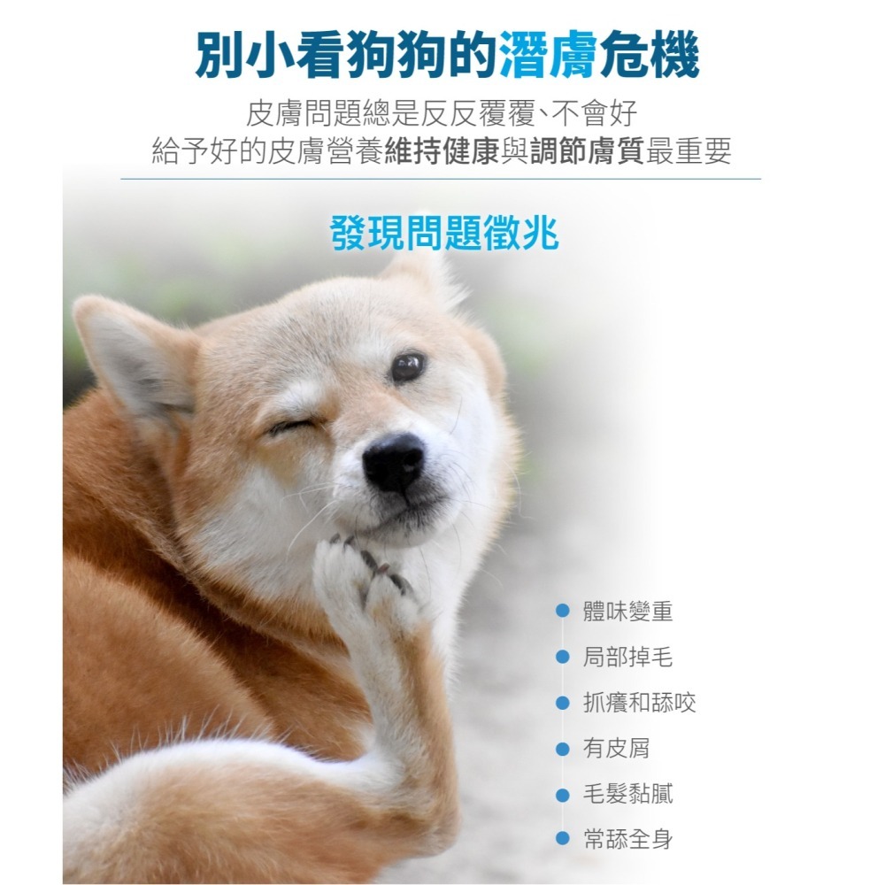 【木入森】犬寶膚立好｜30顆｜60顆 ｜狗狗皮膚保健食品｜薑黃 膠原蛋白 甘胺酸鋅｜狗皮膚抵抗力-細節圖2