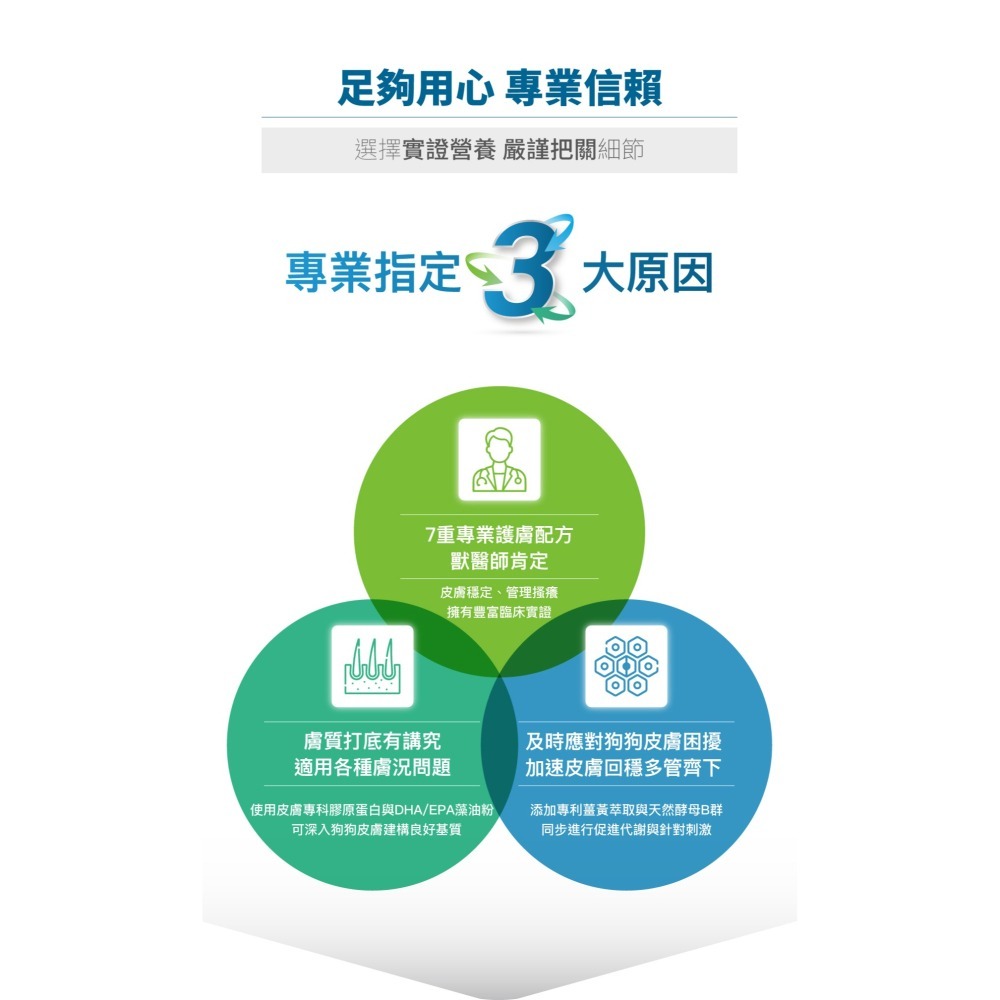 【木入森】犬寶膚立好｜30顆｜60顆 ｜狗狗皮膚保健食品｜薑黃 膠原蛋白 甘胺酸鋅｜狗皮膚抵抗力-細節圖3
