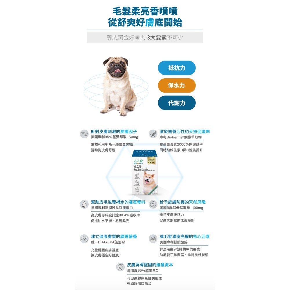 【木入森】犬寶膚立好｜30顆｜60顆 ｜狗狗皮膚保健食品｜薑黃 膠原蛋白 甘胺酸鋅｜狗皮膚抵抗力-細節圖5