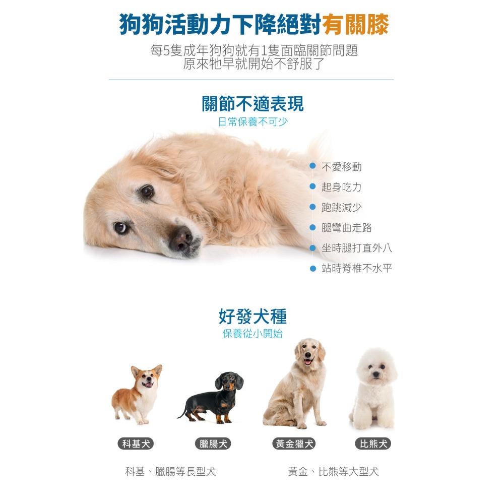 【木入森】犬寶有關膝｜ 30顆｜60顆｜狗狗關節保健食品｜胜肽膠原蛋白 玫瑰果萃取｜給予狗關節保護力-細節圖3