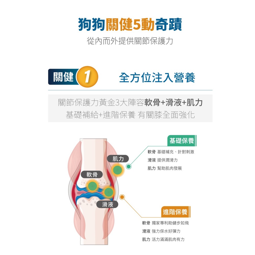 【木入森】犬寶有關膝｜ 30顆｜60顆｜狗狗關節保健食品｜胜肽膠原蛋白 玫瑰果萃取｜給予狗關節保護力-細節圖4
