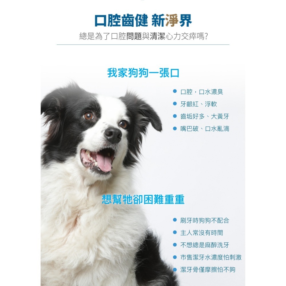 【木入森】犬寶固齒麗口滴劑 (30ml)｜狗狗潔牙滴劑｜可滴入食物｜控制牙垢 消除狗狗口腔異味-細節圖2