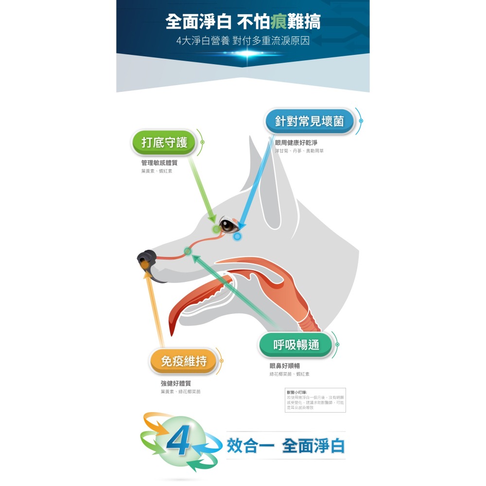 【木入森】犬寶痕淨白 ｜30顆｜60顆｜狗狗眼睛保健食品｜葉黃素 蝦紅素｜針對狗狗流眼淚 寵物葉黃素-細節圖5