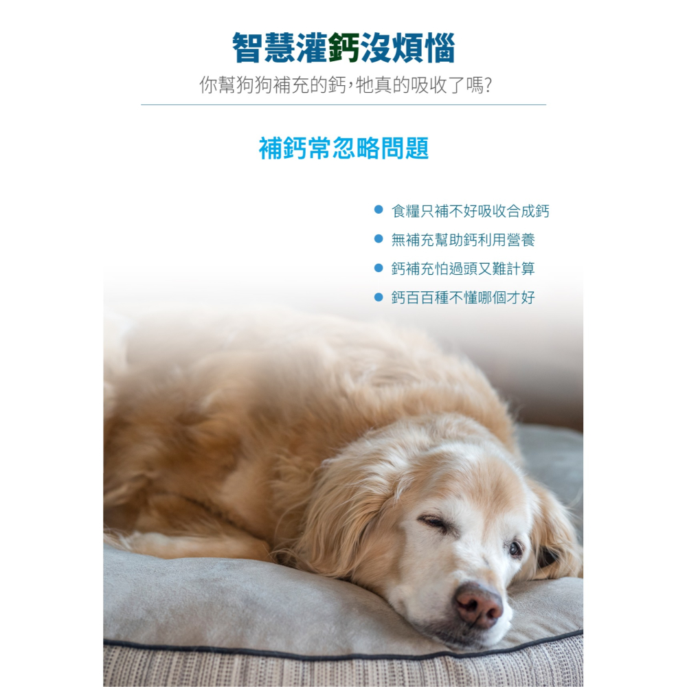 【木入森】犬寶D藻鈣 (30包)｜狗狗補鈣保健食品｜超高吸收率 海藻鈣｜老狗照護 狗狗鈣粉-細節圖2