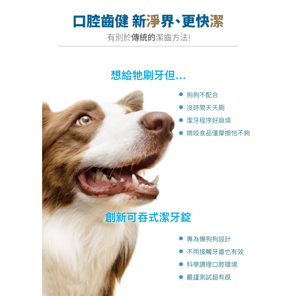 【木入森】犬寶固齒麗潔牙錠 30顆/袋 ｜狗狗潔牙錠｜比潔牙骨更好的選擇｜消除狗狗口腔異味-細節圖3