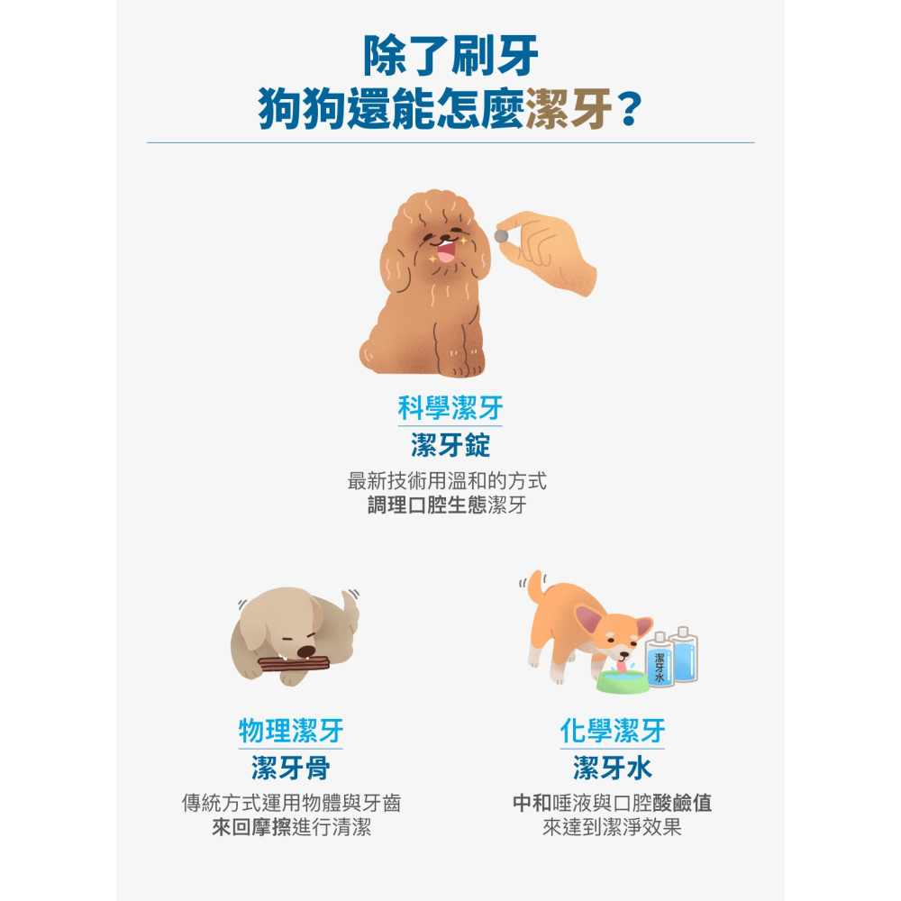 【木入森】犬寶固齒麗潔牙錠 30顆/袋 ｜狗狗潔牙錠｜比潔牙骨更好的選擇｜消除狗狗口腔異味-細節圖5
