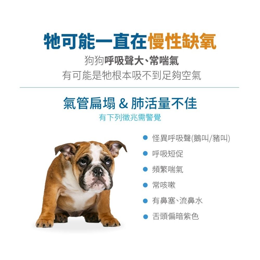 【木入森】犬寶氣力升 ｜30顆｜60顆｜狗狗氣管保健食品-細節圖2