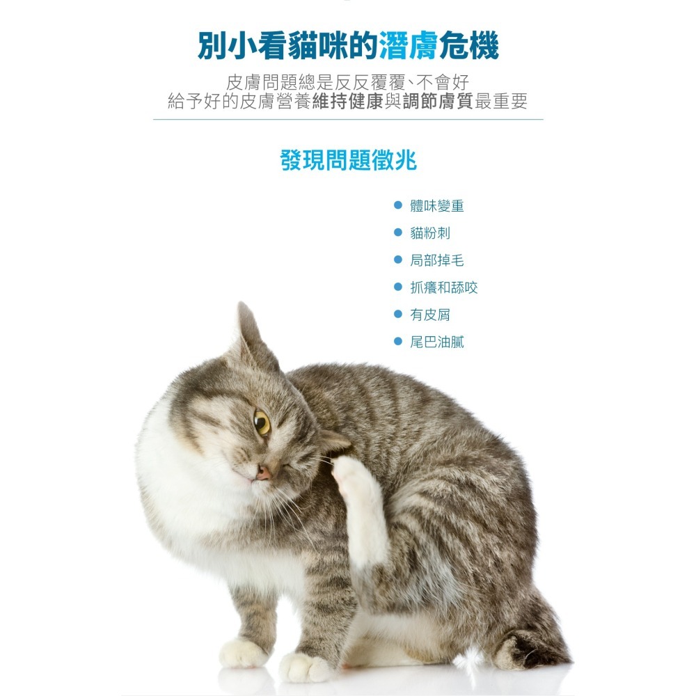【木入森】貓咪膚立好 ｜25包｜50包｜貓咪皮膚保健食品｜高單位魚油 麩醯胺酸｜針對貓皮膚敏感 搔癢-細節圖2