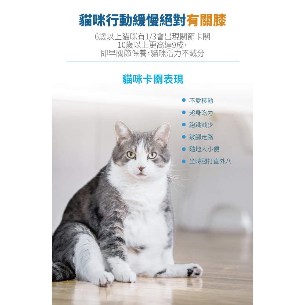 【木入森】貓咪有關膝 ｜15顆｜30顆｜貓咪關節保健食品｜膠原蛋白 玻尿酸｜老貓照護 貓關節保健-細節圖3