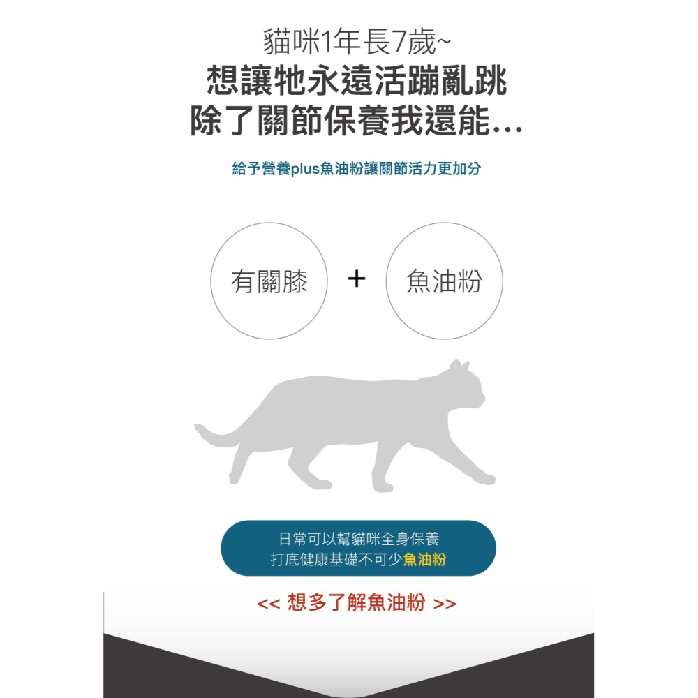 【木入森】貓咪有關膝 ｜15顆｜30顆｜貓咪關節保健食品｜膠原蛋白 玻尿酸｜老貓照護 貓關節保健-細節圖4