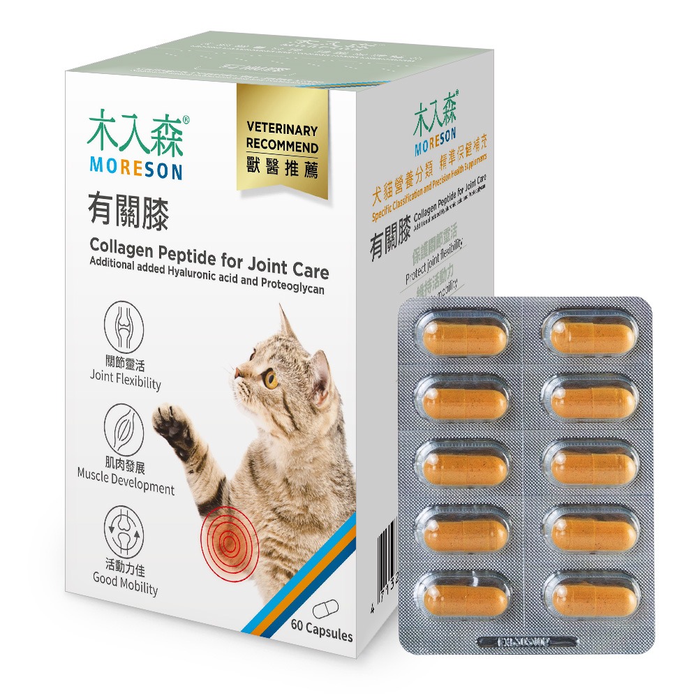 【木入森】貓咪有關膝 ｜15顆｜30顆｜貓咪關節保健食品｜膠原蛋白 玻尿酸｜老貓照護 貓關節保健-規格圖7
