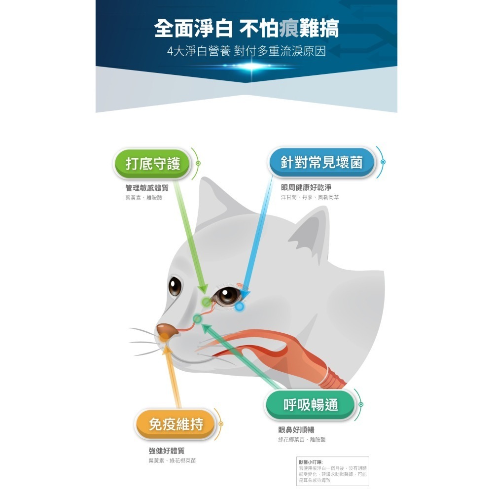 【木入森】貓咪痕淨白 30顆｜60顆｜貓咪眼睛保健食品｜金盞花 離胺酸｜針對貓流眼淚 貓淚痕-細節圖4