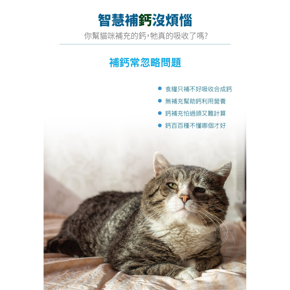 【木入森】貓咪D藻鈣 (30包)｜貓咪補鈣保健食品｜超高吸收率 海藻鈣｜老貓照護 貓鈣粉-細節圖2