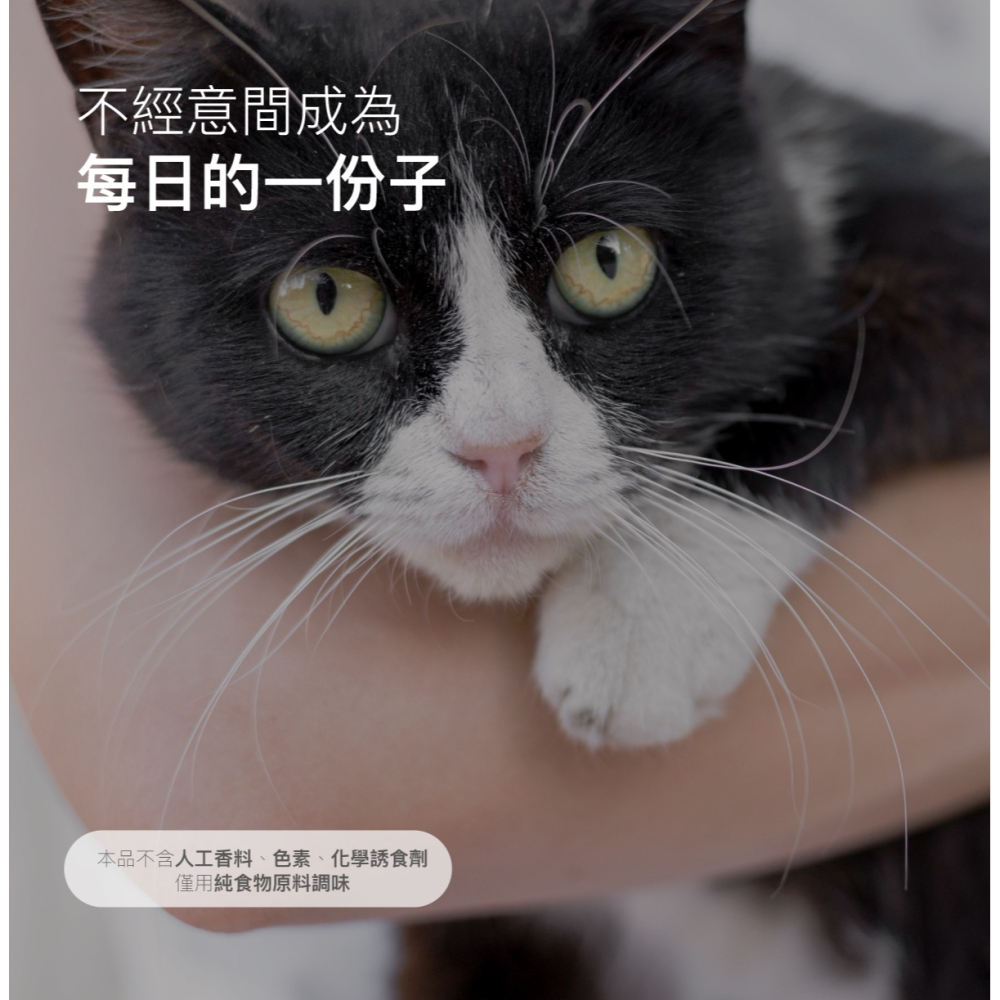 【木入森】貓咪D藻鈣 (30包)｜貓咪補鈣保健食品｜超高吸收率 海藻鈣｜老貓照護 貓鈣粉-細節圖7