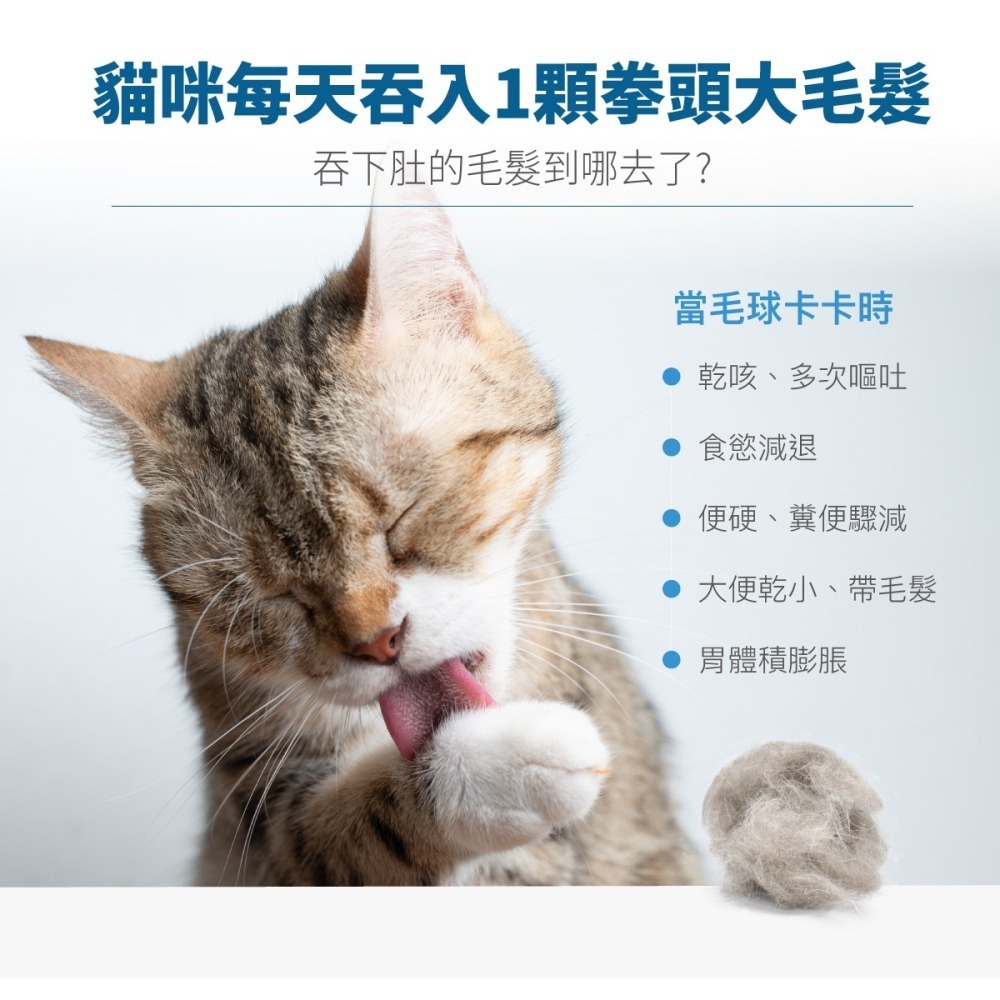 【木入森】貓咪排毛粉 精準纖維配比 19種綜合酵素, Hairball Relief, 鮮蝦風味, 15包/30包-細節圖3