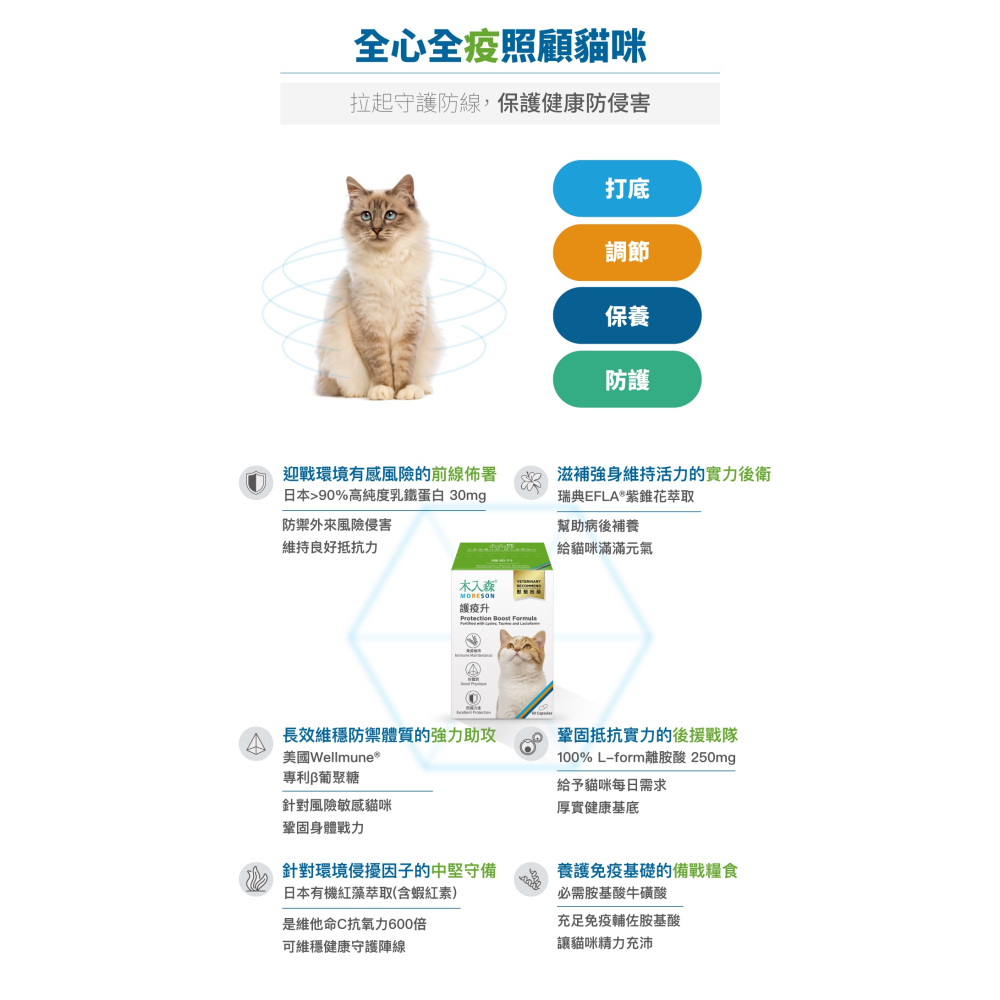 【木入森】貓咪護疫升 ｜30顆｜60顆｜貓咪免疫力保健食品｜離胺酸 牛磺酸 蝦紅素｜適合老貓 挑食貓-細節圖5