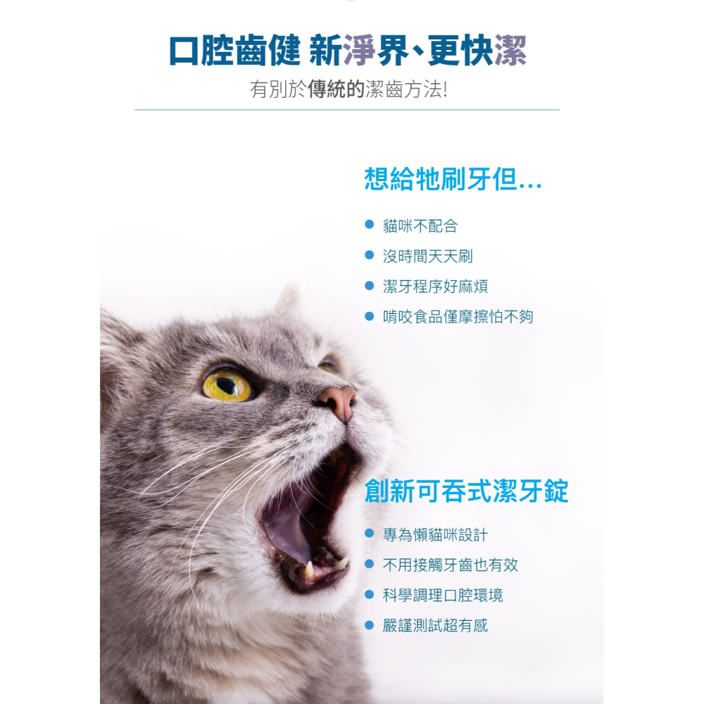 【木入森】貓咪固齒麗潔牙錠 30顆/袋｜貓咪潔牙錠｜改善口腔環境｜控制牙垢 消除貓咪口腔異味-細節圖2