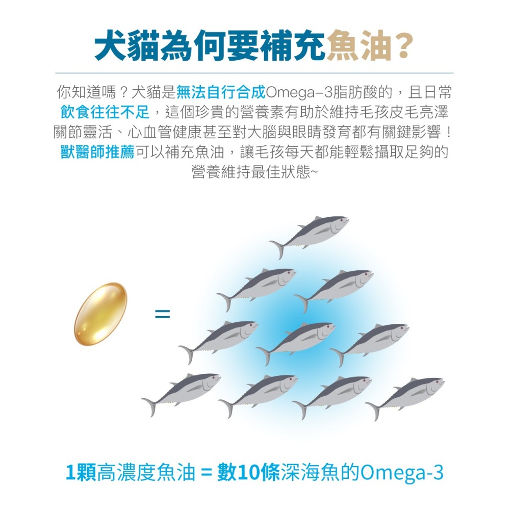 【木入森】高EPA寵物魚油 ｜30顆｜60顆｜魚油膠囊 貓狗魚油 寵物魚油 寵物保健-細節圖3