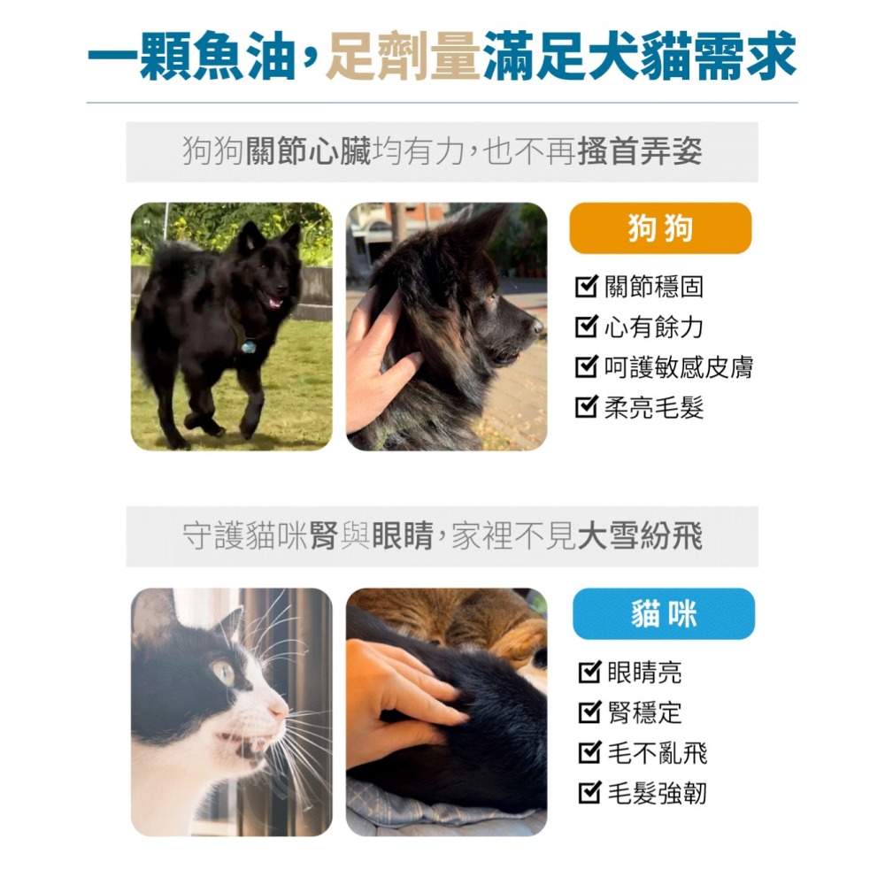 【木入森】高EPA寵物魚油 ｜30顆｜60顆｜魚油膠囊 貓狗魚油 寵物魚油 寵物保健-細節圖4