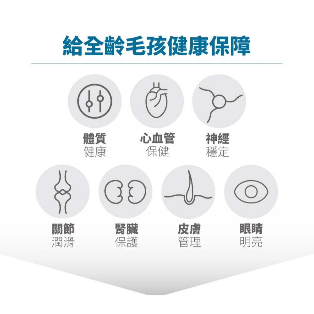 【木入森】高EPA寵物魚油 ｜30顆｜60顆｜魚油膠囊 貓狗魚油 寵物魚油 寵物保健-細節圖5