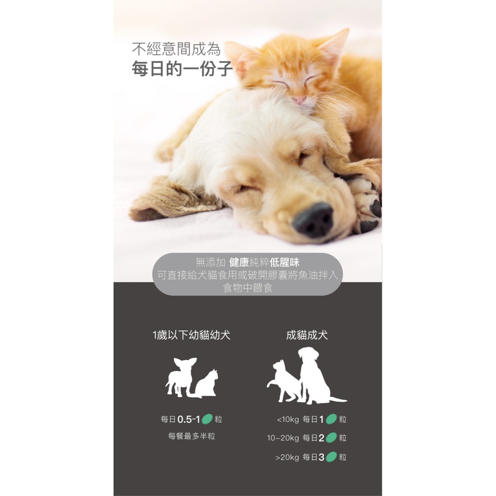 【木入森】高EPA寵物魚油 ｜30顆｜60顆｜魚油膠囊 貓狗魚油 寵物魚油 寵物保健-細節圖11