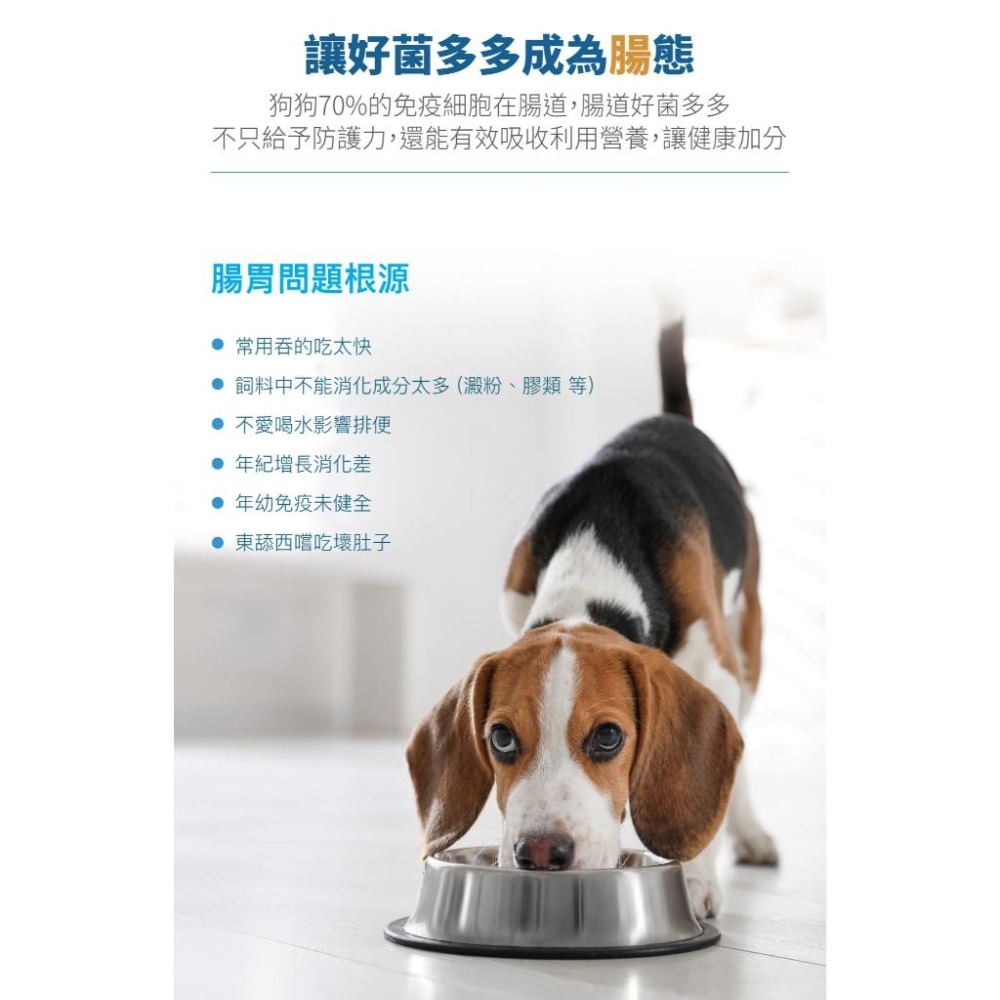【木入森】犬寶變不臭 ｜15包｜30包｜狗狗腸胃益生菌｜寵物益生菌｜幫助狗消化吸收 減少排便異味-細節圖3