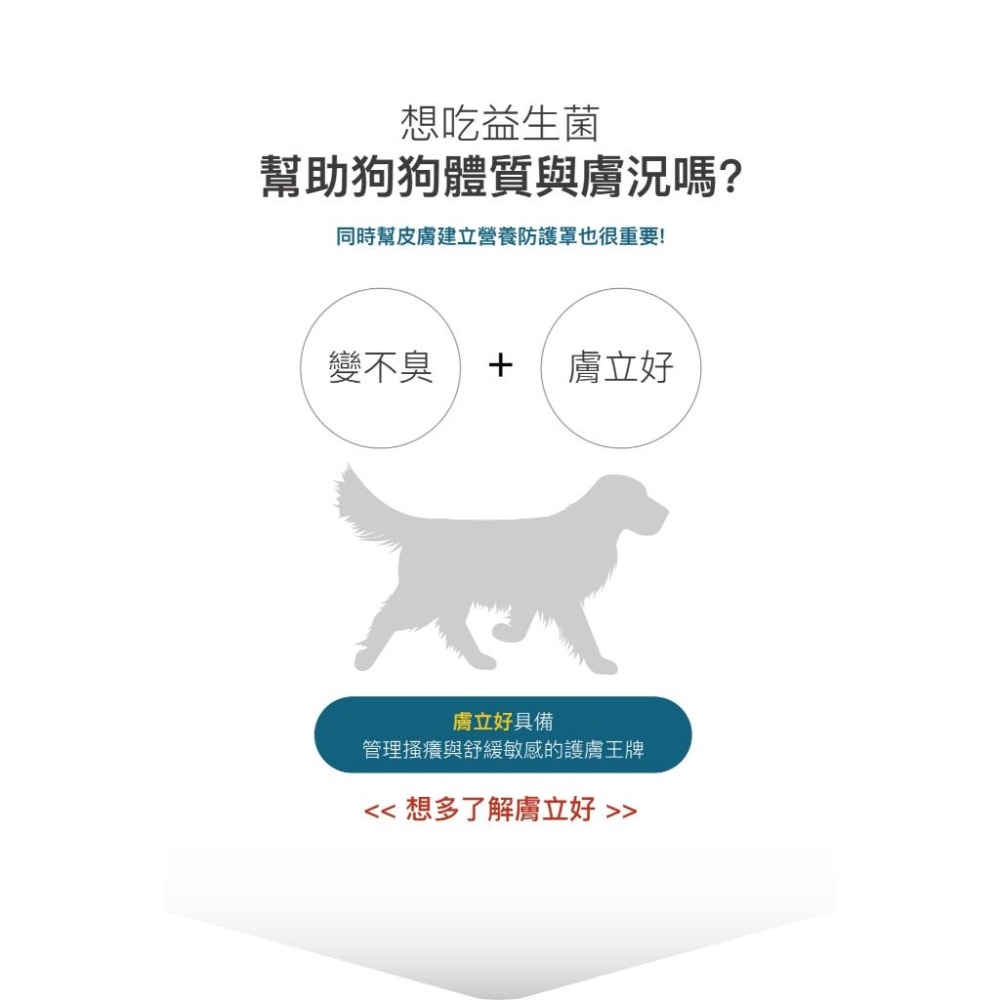 【木入森】犬寶變不臭 ｜15包｜30包｜狗狗腸胃益生菌｜寵物益生菌｜幫助狗消化吸收 減少排便異味-細節圖4