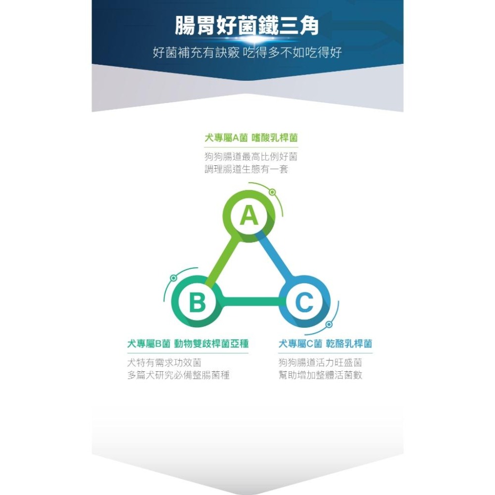 【木入森】犬寶變不臭 ｜15包｜30包｜狗狗腸胃益生菌｜寵物益生菌｜幫助狗消化吸收 減少排便異味-細節圖6