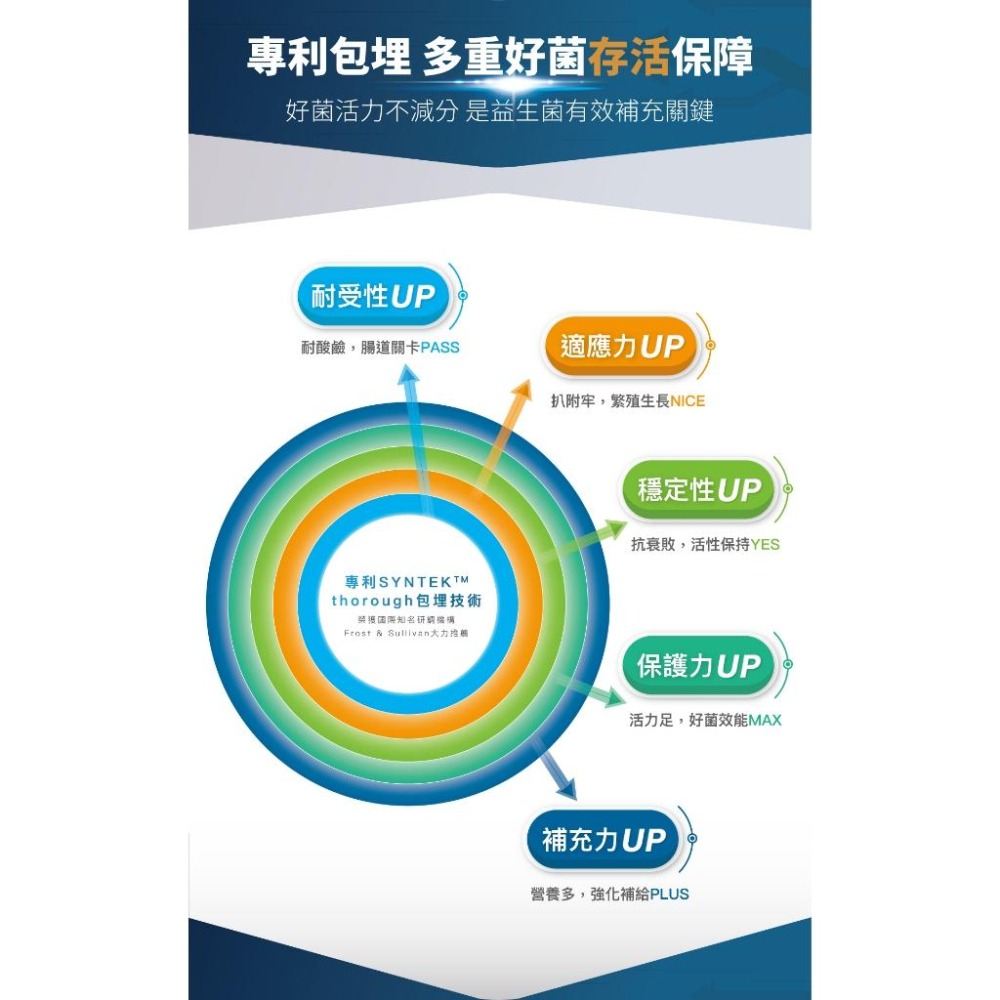 【木入森】犬寶變不臭 ｜15包｜30包｜狗狗腸胃益生菌｜寵物益生菌｜幫助狗消化吸收 減少排便異味-細節圖7